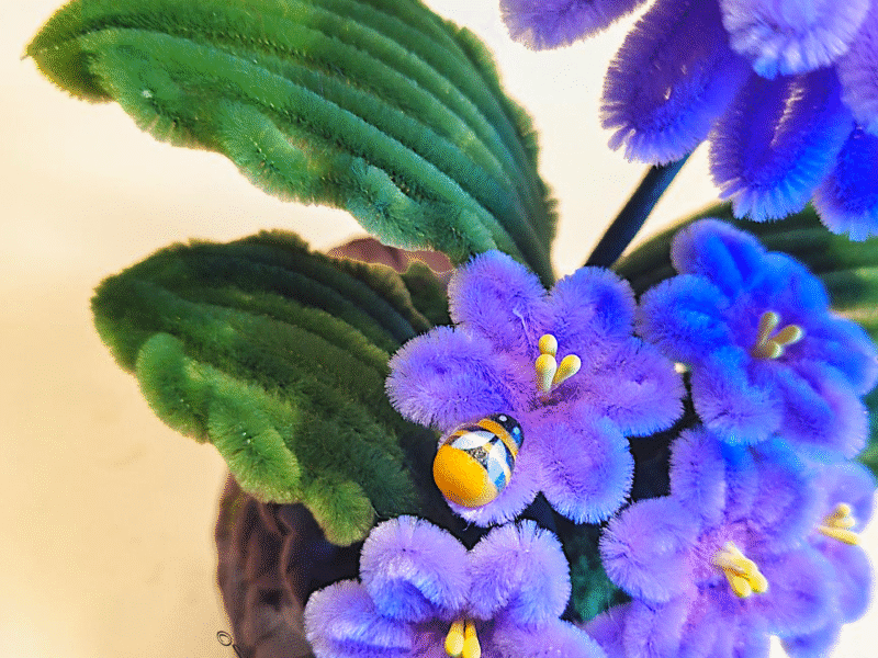Le Lila Bee