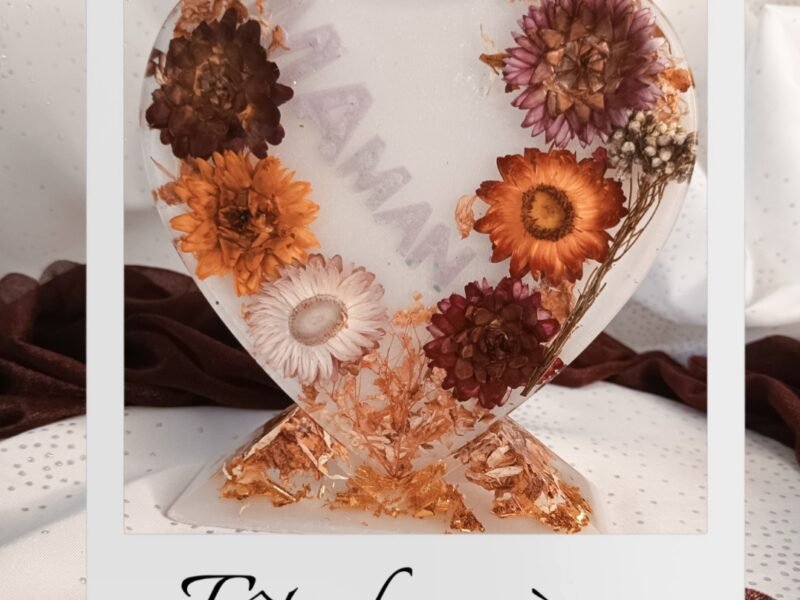 Nouveautés sur le site