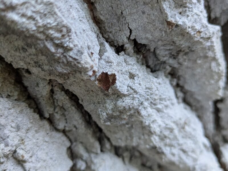 Naturopathe-Iridologie-massages