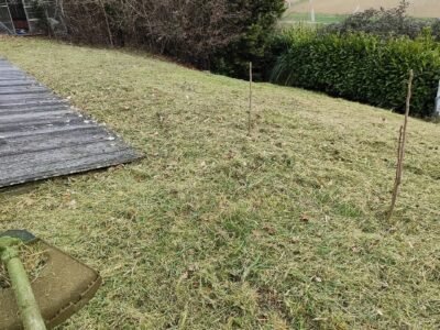 Paysagiste & multiservices