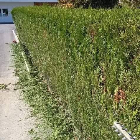 Paysagiste & multiservices