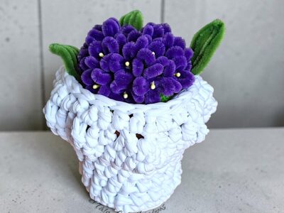 Nuage de Violettes