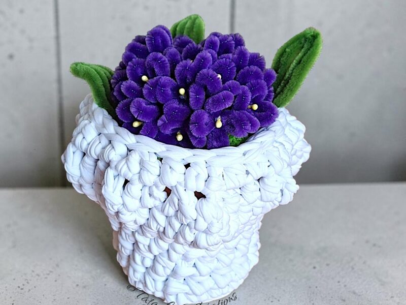 Nuage de Violettes