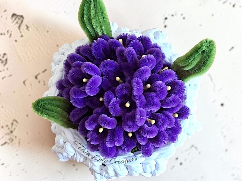Nuage de Violettes