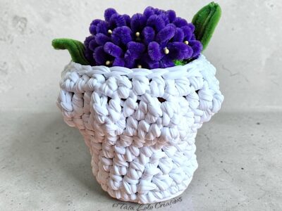 Nuage de Violettes