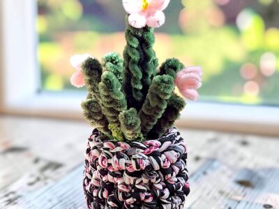 Cactus Rosé