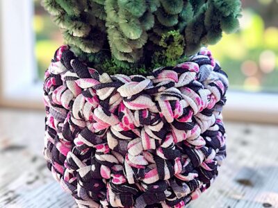 Cactus Rosé