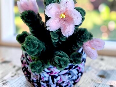 Cactus Rosé
