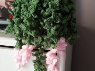 Plante retombante.
