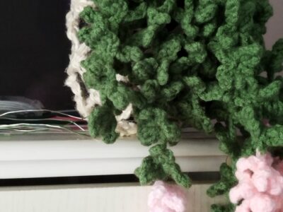 Plante retombante.