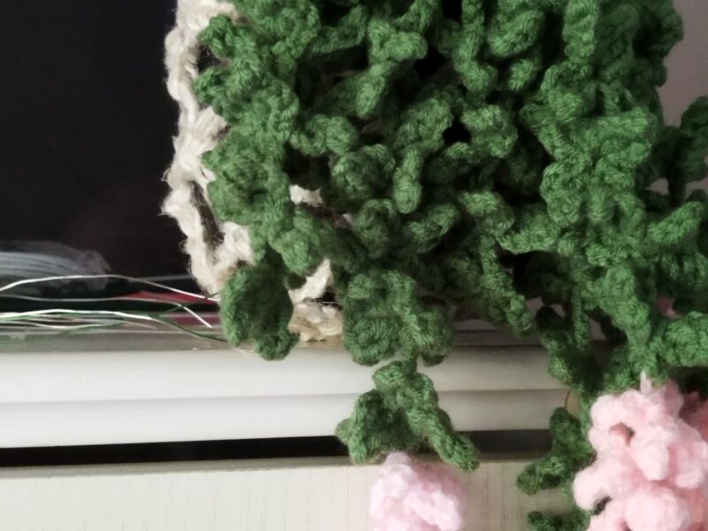 Plante retombante.