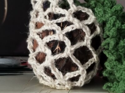 Plante retombante.