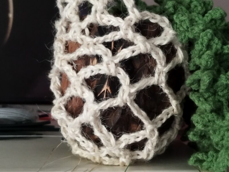 Plante retombante.
