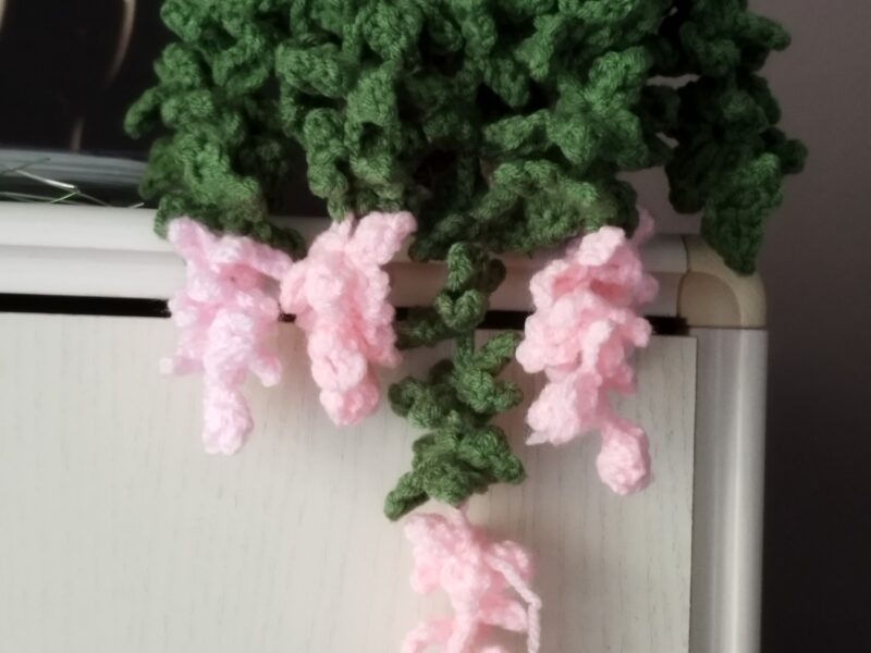 Plante retombante.