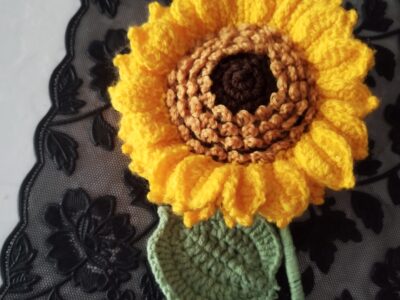 Tournesol éternel