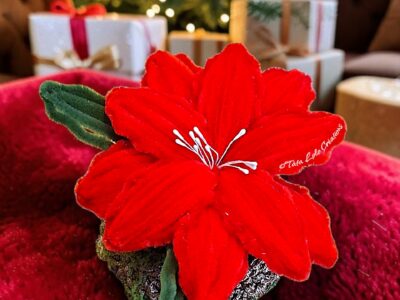 Le Poinsettia Passion