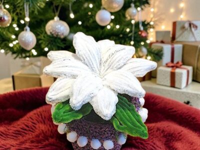Le Poinsettia Violeta