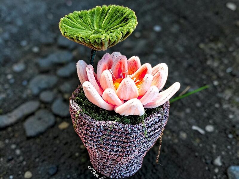 Perle de Lotus