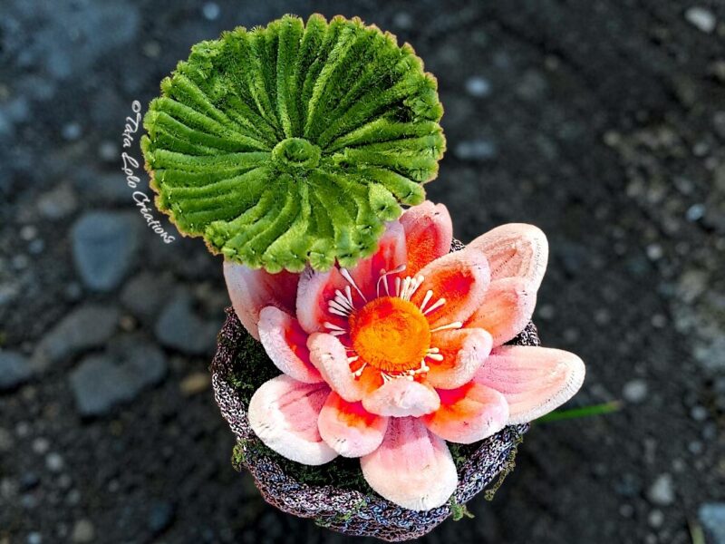 Perle de Lotus