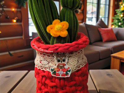 CACTUS RUDY LE RENNE