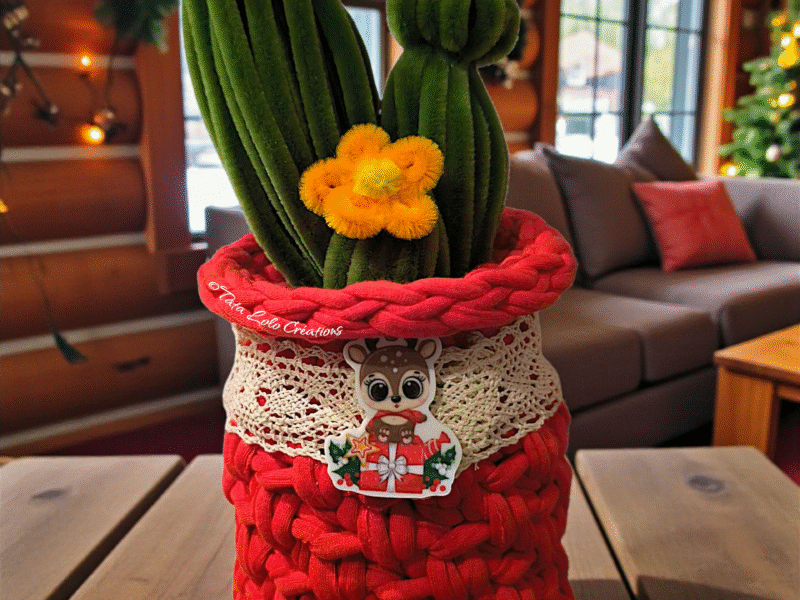 CACTUS RUDY LE RENNE