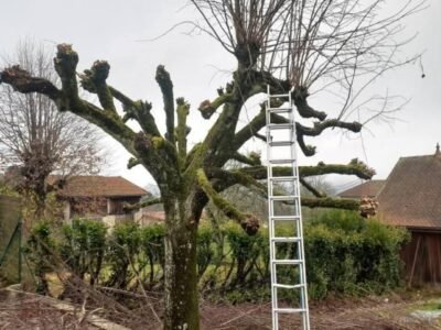 Entretien espace vert