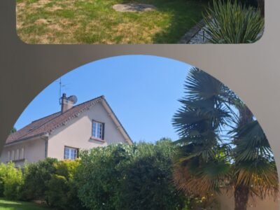 Entretien espace vert