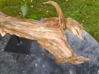 Le Génie de la Rivière - Sculpture de poisson en bois artisanale - Pièce unique sculptée main dans une branche de pin