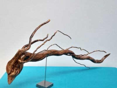 Haku, L'Esprit de la Rivière - Sculpture de dragon en bois artisanale - Pièce unique sculptée main dans une racine de bruyère