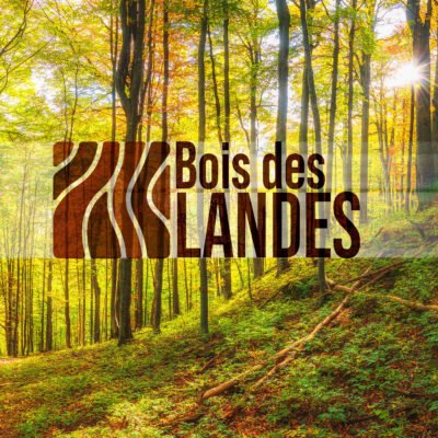 Bois des Landes