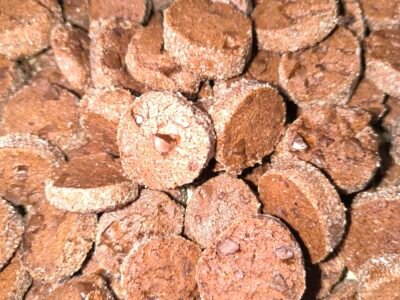 La Biscuiterie De Laury