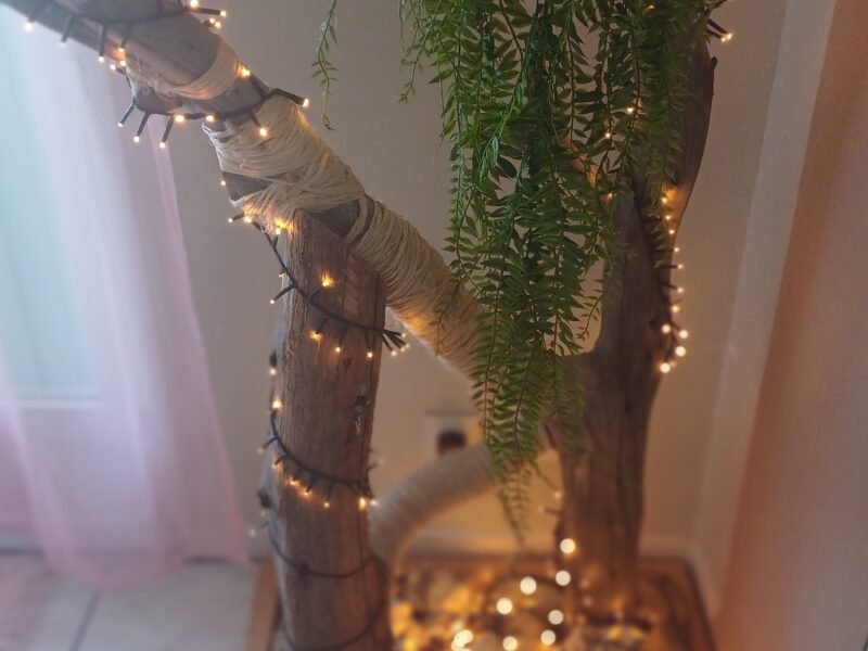 Créatrice de luminaires zen et d objets en bois recyclés