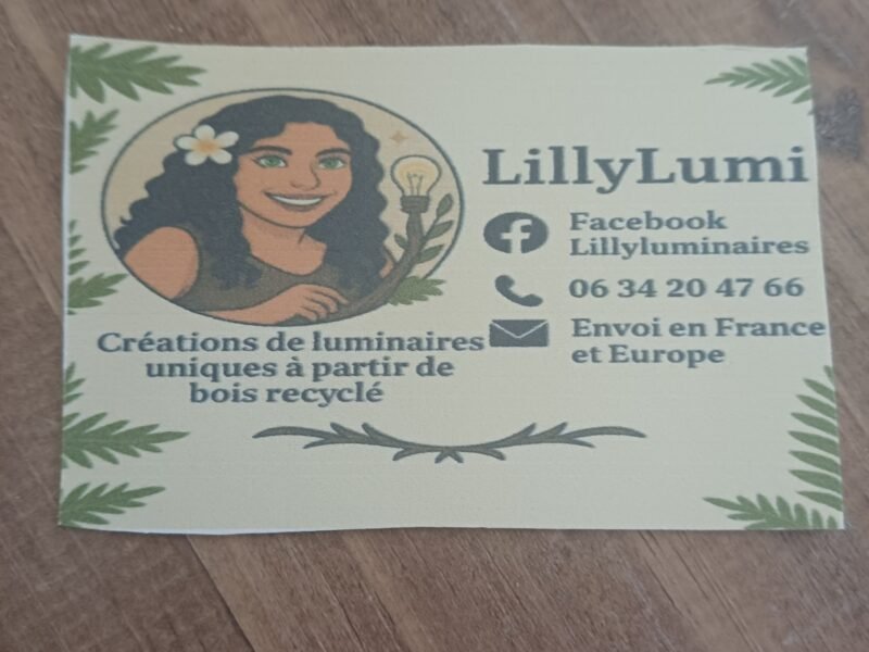 Créatrice de luminaires zen et d objets en bois recyclés