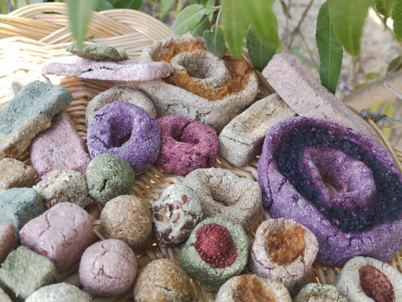 Friandises pour chevaux