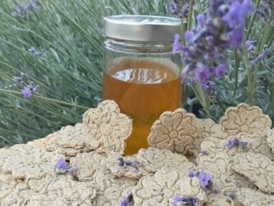 Friandises pour chevaux