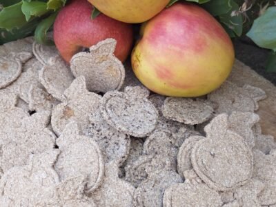 Friandises pour chevaux