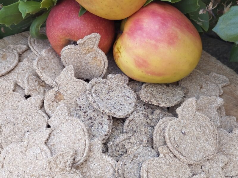 Friandises pour chevaux