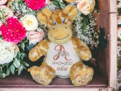 Peluche personnalisée