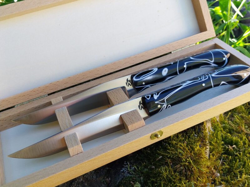 Duo de couteaux de table