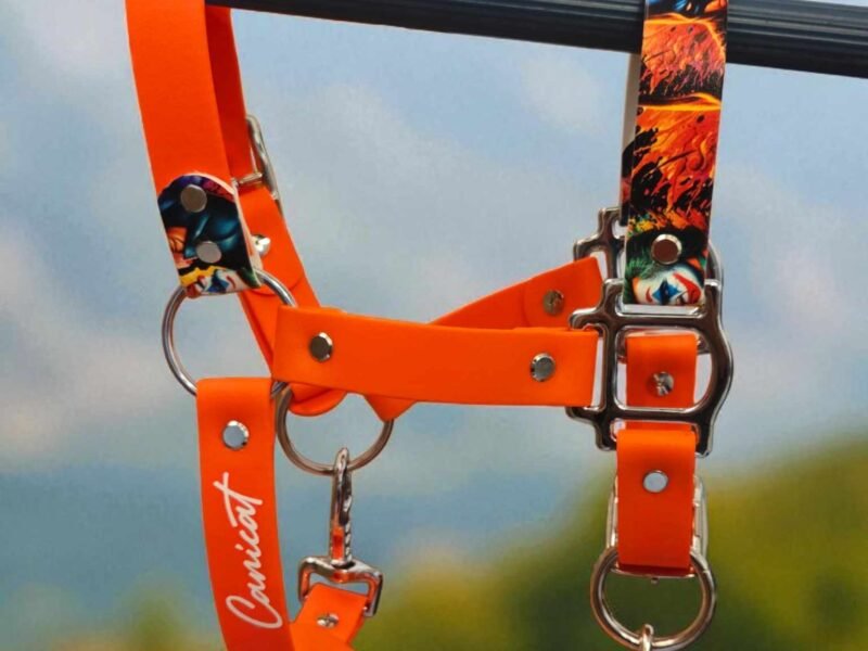 Canihorse - créatrice d'équipement équin et canin en biothane