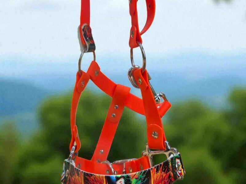 Canihorse - créatrice d'équipement équin et canin en biothane