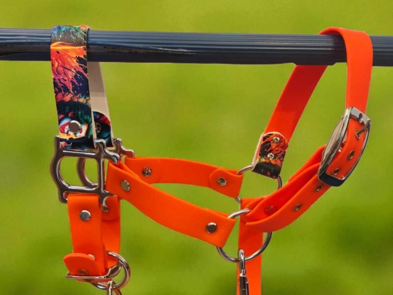 Canihorse - créatrice d'équipement équin et canin en biothane