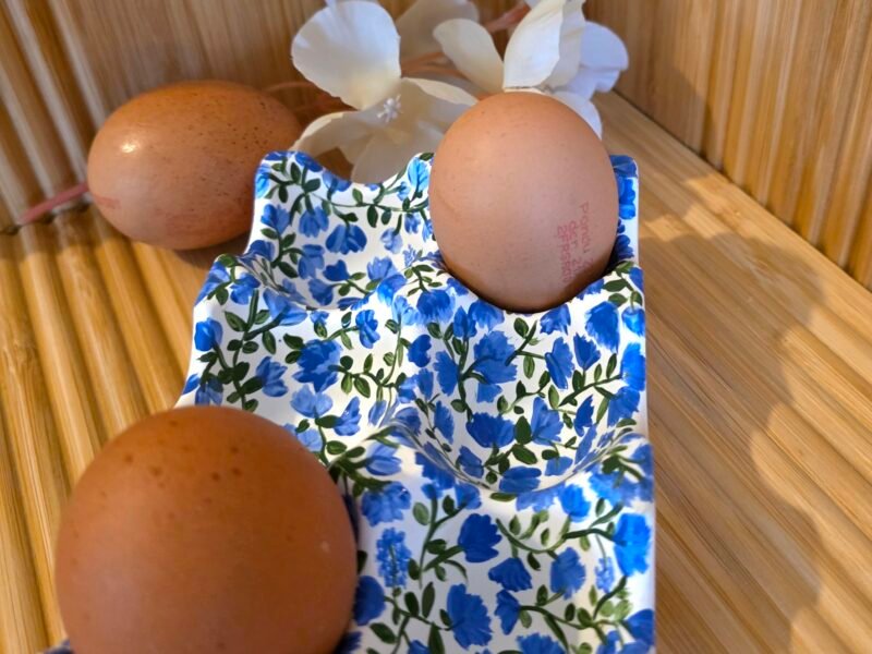 Support a oeufs en ceramique