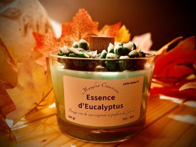 Bougies à la Cire de Soja 100% naturelle et Parfum de Grasse