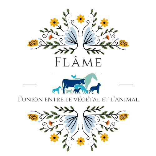 Produits artisanaux naturels et bio pour animaux de compagnie et de la ferme