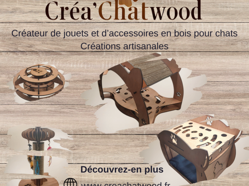 Créateur de jouets et accessoires en bois pour chats