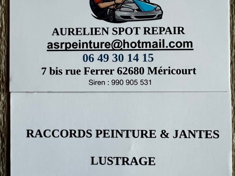 Asr peinture