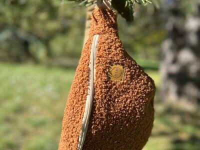 Bam bananes accessoires pop & fun et colorés