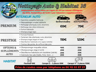FreshUp Nettoyage auto et habitat