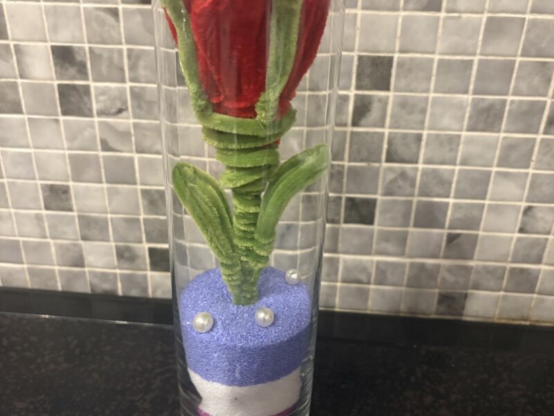 Les fleurs éternelles de Sandra